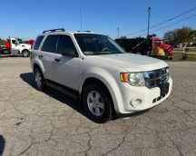 Picture of item in inventory, or it says "image coming soon".